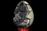 Septarian Dragon Egg Geode - Black Crystals #98863-1